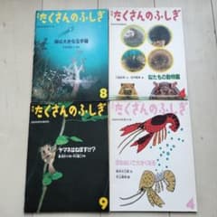 たくさんのふしぎ 4冊セット - メルカリ