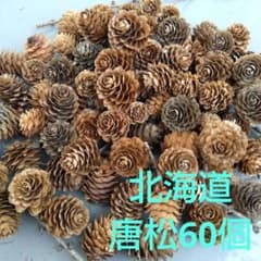 松ぼっくり(北海道の唐松)約60個 リース、スワッグにのサムネイル