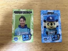 中日ドラゴンズ 沖縄キャンプ2025 清水達也 ドアラ カードのサムネイル