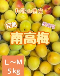 和歌山県産 完熟南高梅‼️L〜M混合‼️5kg みかんキング 家庭用 - メルカリ