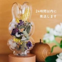 新品✨封入オブジェミッフィーmiffyスタジオクリップドライフラワーナチュラルのサムネイル