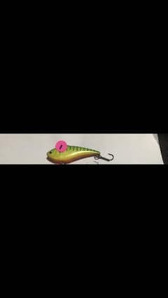 鯨さま専用のサムネイル