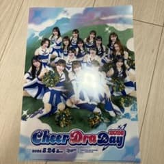 中日ドラゴンズ チアドラゴンズ 2026 クリアファイル - メルカリ