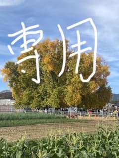 りりぃさん専用のサムネイル