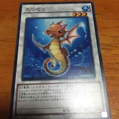 たつのこです！のサムネイル