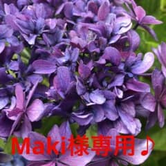 Maki様専用♪のサムネイル