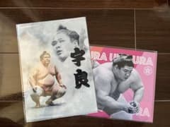宇良関⭐︎クリアファイルセットのサムネイル
