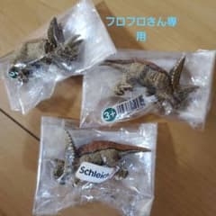 フロフロさん専用　シュライヒ　トリケラトプスのサムネイル