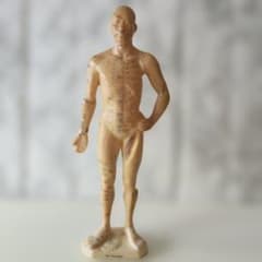 人体経穴模型 鍼灸 ツボ押し 指圧 学習用 - メルカリ