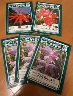 ジャポニカ学習帳 5冊セットのサムネイル