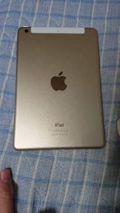 iPad mini 16GBのサムネイル