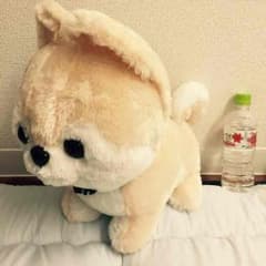 豆しば三兄弟のぬいぐるみのサムネイル
