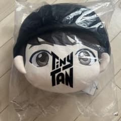 페이스 쿠션 TinyTAN 정국 BTS