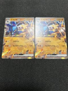 ノーマル仕様　ルカリオex 2枚セットのサムネイル