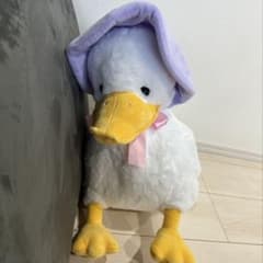 ぺたぺたアヒル隊 カントリーロード ボンネット ぬいぐるみ タグ付き