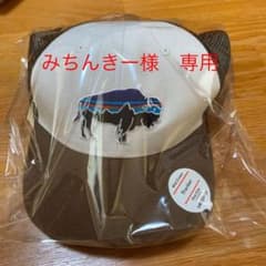 最終値下げ　パタゴニア　TRUCKER HATのサムネイル