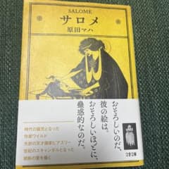 原田マハ サロメ *まとめ買い購入の場合値引きします＊のサムネイル