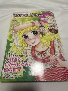 【新品未開封】いがらしゆみこ 45th Anniversary Book 付録付 いがらしゆみこ 45th Anniversary Book 付録未開封付 - メルカリ