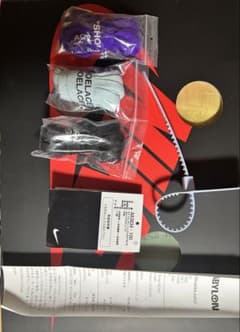 Nike Air Jordan1 "Alaska" 付属品のみのサムネイル