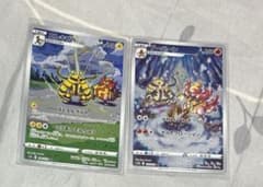 エレキブル　ブーバーン　ARのサムネイル