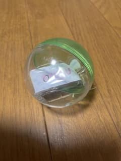 Dragons 推し選手ホルダー カプセルトイ 透明・緑のサムネイル