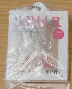 集英社 雑誌コレクション だれでもなりきりアクリルチャーム SPURのサムネイル