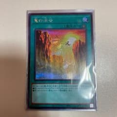 遊戯王 竜の渓谷　シクのサムネイル