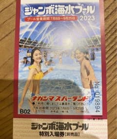 長島ジャンボ海水プール　ナガシマスパーランド　特別入場券のサムネイル