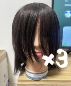 カットウィッグ　カットマネキン　美容師　国家試験　レジーナ　新品未使用 新品・未使用】レジーナ3体セット国家試験用カットウィッグ - メルカリ