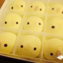 Siori様専用ページのサムネイル