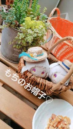 夏色のもちのお帽子のサムネイル