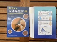 ラングマン人体発生学　第11版　裁断済みのサムネイル