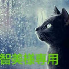 鳳翼天翔リングのサムネイル