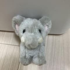 ゾウ　ぬいぐるみキーホルダーのサムネイル