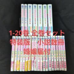 婚姻届】世界一初恋 小野寺律の場合 1-20巻 全巻 小説 - メルカリ