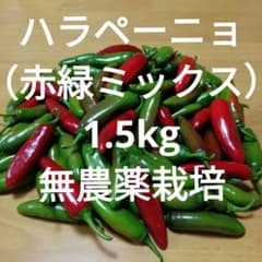 静岡県産 ハラペーニョ 1.5kg 無農薬 家庭菜園のサムネイル