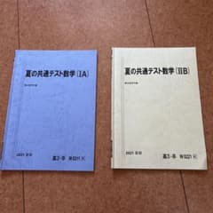 駿台 夏の共通テスト数学 (IA) (IIB) 2021 夏期のサムネイル