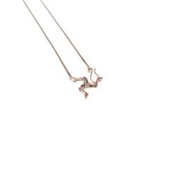 whimsy/10K POZESSION GOLD KNECKLACEのサムネイル