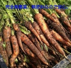 自然栽培　人参　B品込　無農薬　無肥料のサムネイル