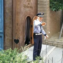 わんわんさん専用のサムネイル