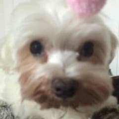 nyam様専用のサムネイル