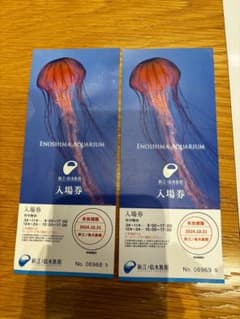 江ノ島水族館デート　入場券　2枚(有効期限20241031)のサムネイル