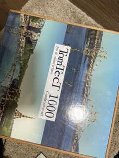 ＠carina様専用　Tomtect1000 定価2万以のサムネイル