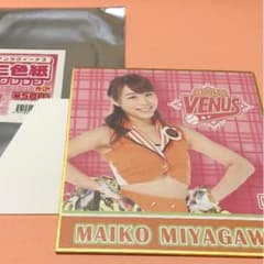 ジャイアンツヴィーナス   ★宮川 麻衣子★のサムネイル