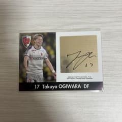 m66124620331_1.jpg?1729326210