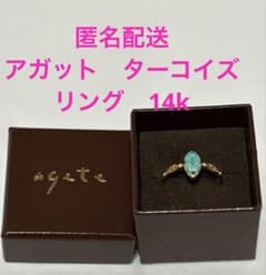 m66131839935_1.jpg?1773149067