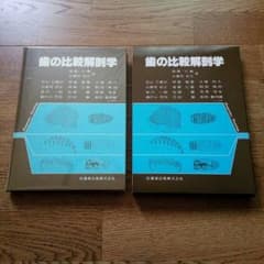 歯の比較解剖学のサムネイル