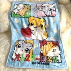 m66141338911_1.jpg?1740897842