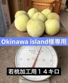 若桃加工用14キロのサムネイル