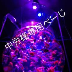 漫画 中労様専用ページのサムネイル